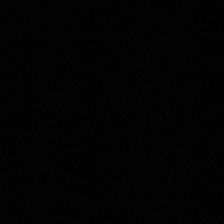 Kunststoffdekor Schwarz 2190 PE